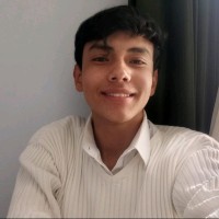 David Useche Rosas