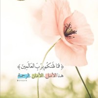 Doaa Selmi