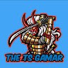 The TS gamar