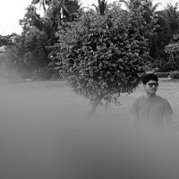 Gilben Fernandes