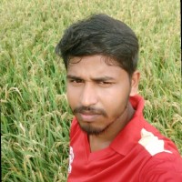 Dinakaran R