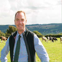 Eamon Watson