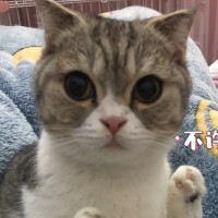 朱宁欣