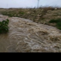 aws madleg