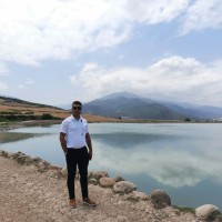Mojtaba Talebi