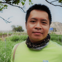 The Ton Nguyen