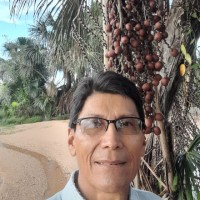 Flaminio Garnica Yate