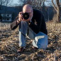Dale Willman