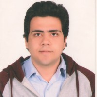 Shady Mohamed Abdelhakam