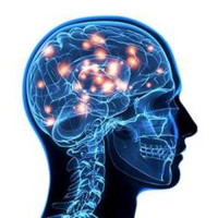 Neurology Conference