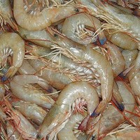 Karachi Fishri