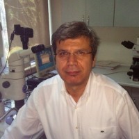 MUSTAFA ORAN, Ph.D.