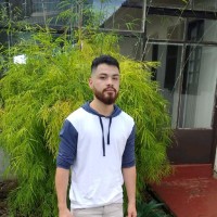 Felipe Pereira Da Costa