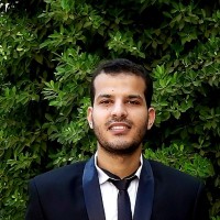 Elsayed Adel