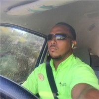 Michael Springer