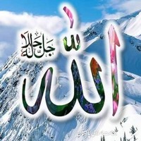 zimarai hashimzai