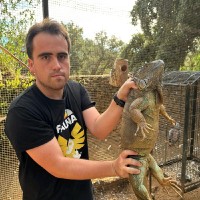 Juan Gutiérrez Ballesteros