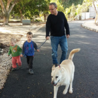 Yuval Shapira