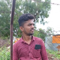 Vishal Palodkar