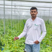 Vijay Krishna Amara