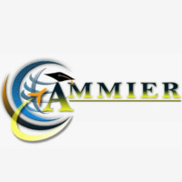 Ammier Consultancy
