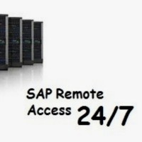 SAP Online Remote Server Access SAP Dedicated Server SAP Private Server