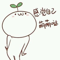 杨海亮