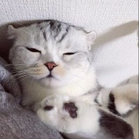 梁小小