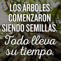 Liliana Torres