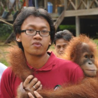 Muhammad Tauhid