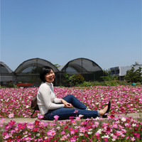 CHI YEH LI