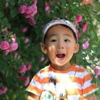 冀晓帆