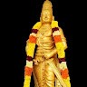 Selva King
