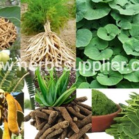 Herbs Supplier