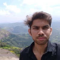 Ronu Bhamarde