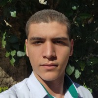 Wesley Luz