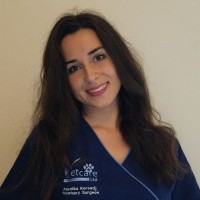 Angelica Korostij