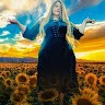 Charlotte Dreams