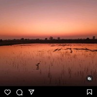 Vikas Dagur
