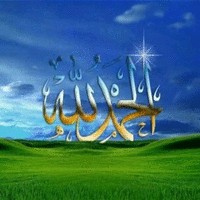 Waheed Zaky