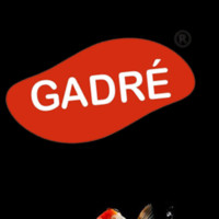Deepak Gadre