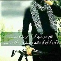Danish Ali Anwar
