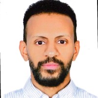 Nour Dawood
