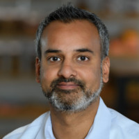 Nick Chandra