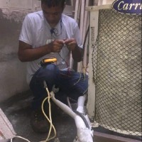 Renato Ferreira da Costa