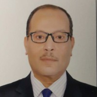 Hamdy Youssef
