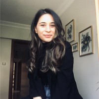 Sinem Arı