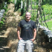 Luis Amorim