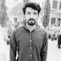 Amir Hussain