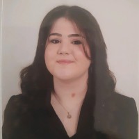 Aslı Nur Akarsu